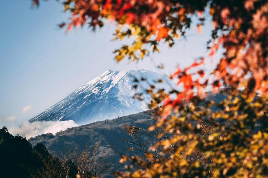 Tokyo: Private Day Trip to Mount Fuji and Hakone - Chureito Pagoda and Arakura Fuji Sengen Shrine: Fuji Views Without the Grind
