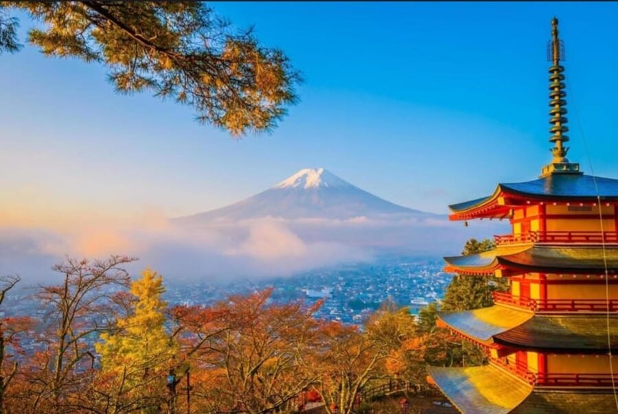 Tokyo: Private Day Trip to Mount Fuji and Hakone - Saiko Iyashi no Sato Nenba: A Taste of Village Life