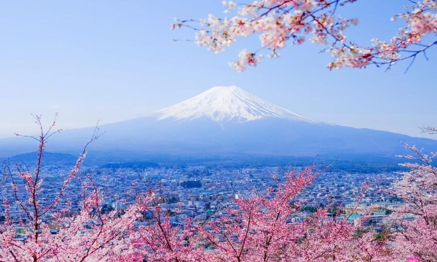 Tokyo: Private Day Trip to Mount Fuji and Hakone - Mt. Fuji 5th Station: The High-Altitude Moment