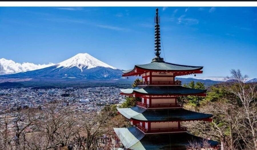 Tokyo: Private Day Trip to Mount Fuji and Hakone - Narusawa Ice Cave and the Oishi Park Flowers Break