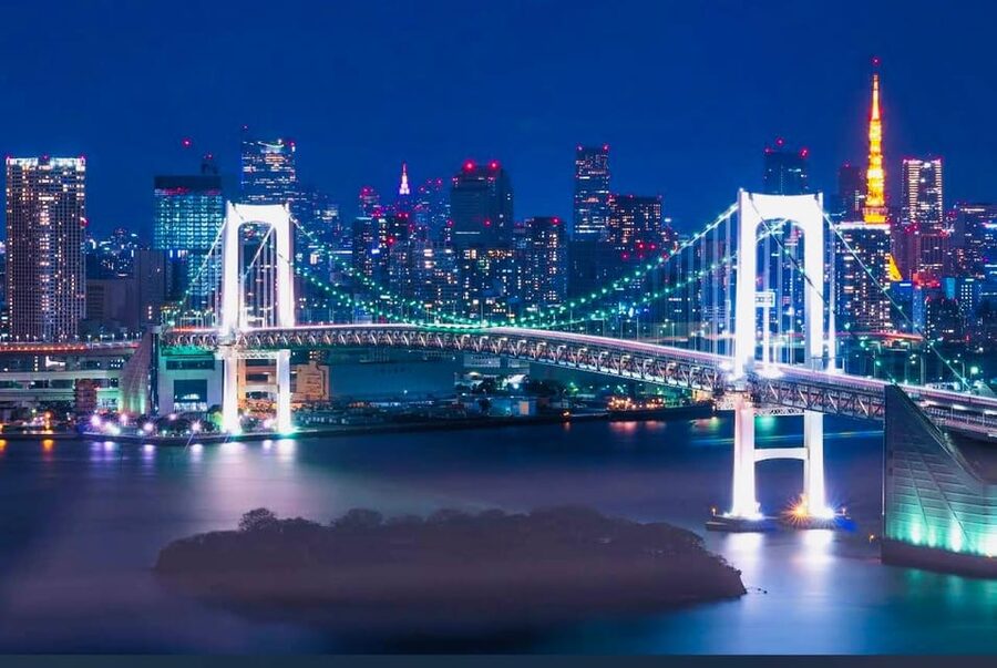 Tokyo Private Day Trip With English Speaking Driver - What You’re Really Getting for $320 (Private group up to 5)