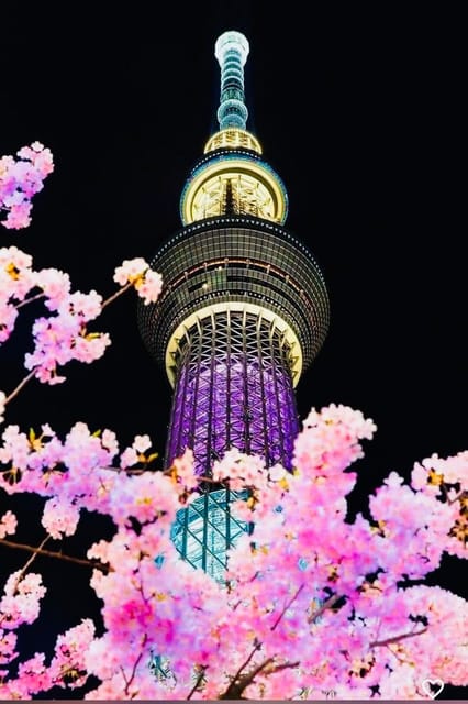 Tokyo Private Day Trip With English Speaking Driver - Meiji Shrine’s quiet reset, then Skytree and Tokyo Tower breaks