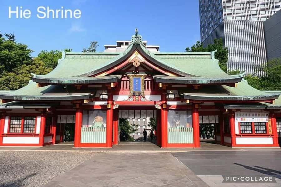 Tokyo: Private Full-Day Sightseeing Tour with Hotel Pickup - Key points before you go