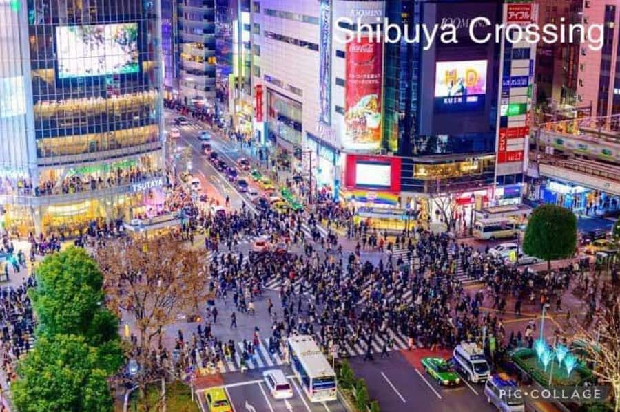Tokyo: Private Full-Day Sightseeing Tour with Hotel Pickup - Who this private Tokyo day fits best