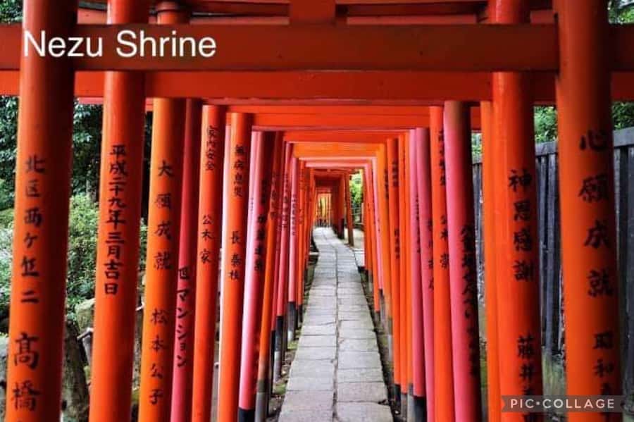 Tokyo: Private Full-Day Sightseeing Tour with Hotel Pickup - Imperial Palace grounds and Hachikō: mixing ceremony and street legend