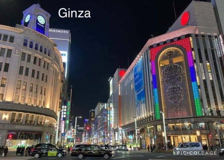 Tokyo: Private Full-Day Sightseeing Tour with Hotel Pickup - Tsukiji Fish Market for sashimi and sushi, then Shibuya Crossing