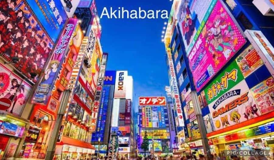 Tokyo: Private Full-Day Sightseeing Tour with Hotel Pickup - Ameyoko and Harajuku: choose your shopping and cosplay tempo