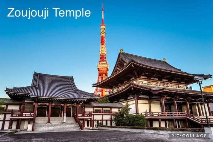 Tokyo: Private Full-Day Sightseeing Tour with Hotel Pickup - The main tradeoffs: chauffeur focus, plus rainy-day reality
