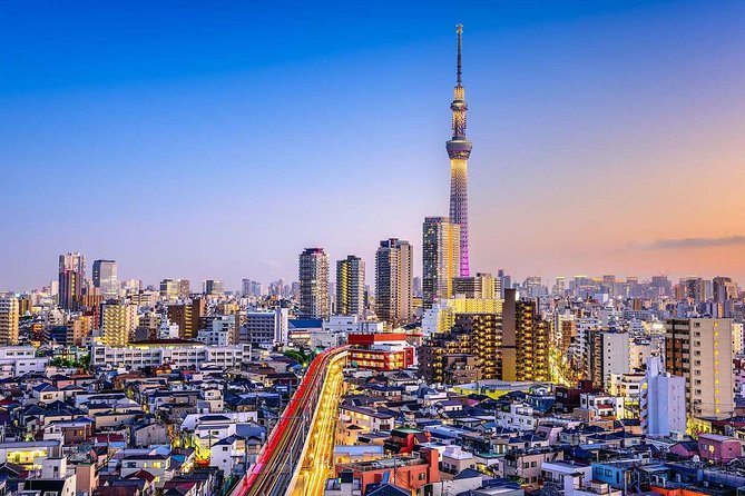 Tokyo Private Full-Day Tour by Car or Van - The 9:00 pickup flow and how to avoid timing headaches