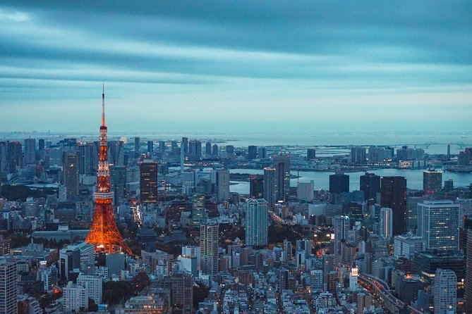Tokyo Private Full-Day Tour by Car or Van - Tokyo Skytree, the view stop, and the one ticket to budget