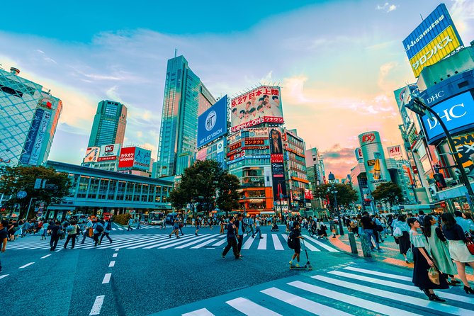Tokyo Private Full-Day Tour by Car or Van - Imperial Palace East Gardens, Edo Castle remnants, and a calmer pace