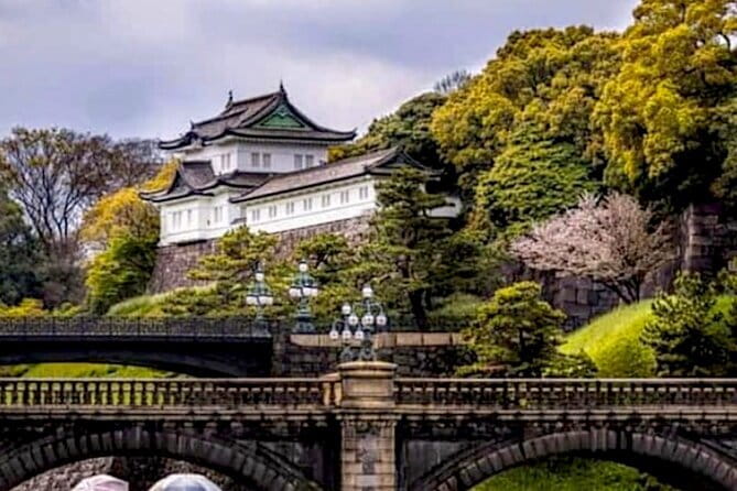 Tokyo: Private Guided Tour with Hotel Pickup and Drop-off - Private Tokyo in a day: what hotel pickup really fixes