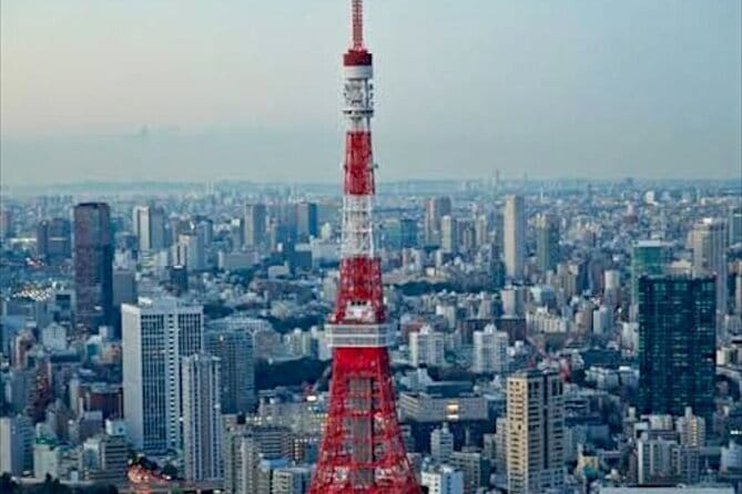 Tokyo: Private Guided Tour with Hotel Pickup and Drop-off - Tsukiji Outer Market: snack streets and smart shopping time