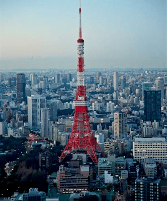 Tokyo: Private Guided Tour with Hotel Pickup and Drop-off - How customization actually helps: from Shinjuku to Akihabara