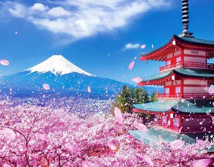Tokyo: Private Mount Fuji and Hakone Day Trip with Guide - Oshino Hakkai: the Fuji water town moment