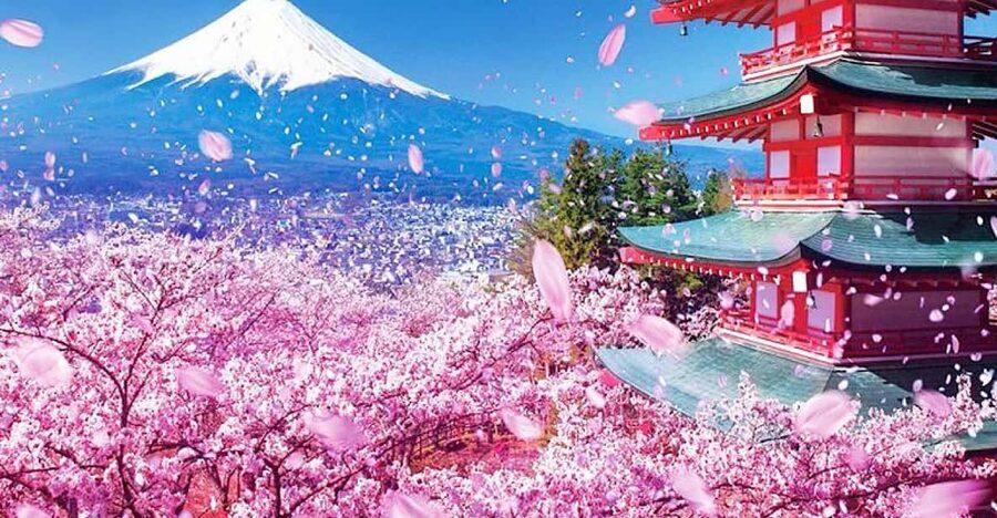 Tokyo: Private Mount Fuji and Hakone Day Trip with Guide - Lake Kawaguchi and Oishi Park: the classic Fuji lake combo