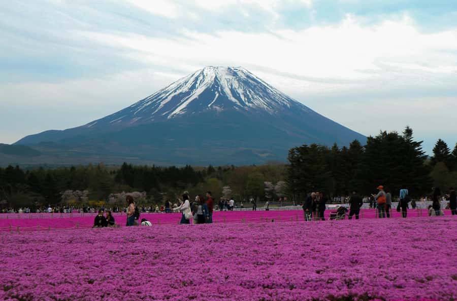 Tokyo: Private Mount Fuji Tour with Pickup and Drop-Off - Key takeaways before you go