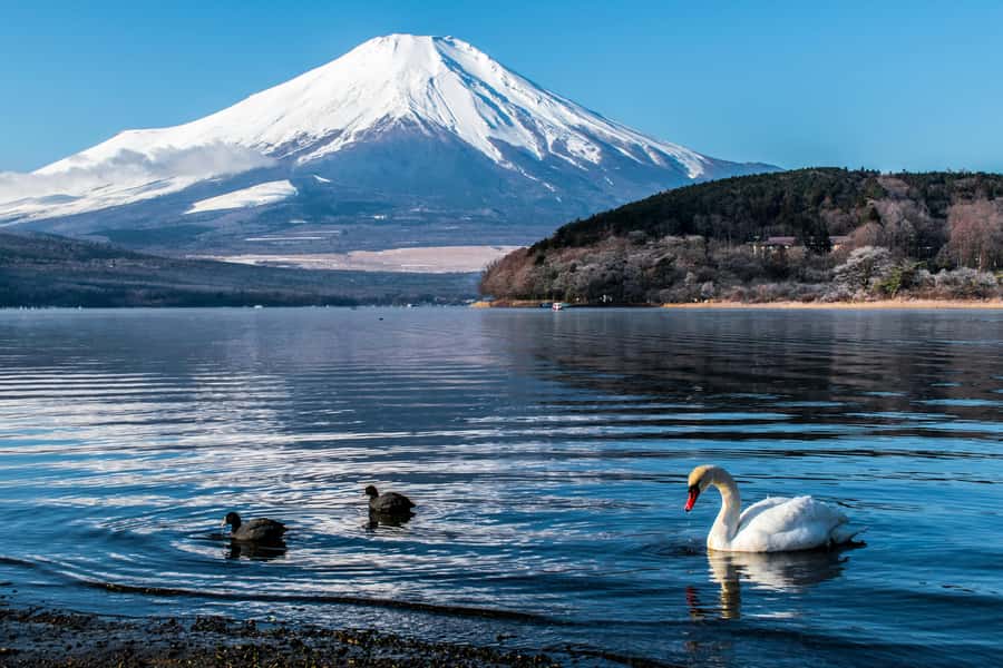 Tokyo: Private Mount Fuji Tour with Pickup and Drop-Off - Lake Kawaguchi, Where the Day Turns Scenic Fast
