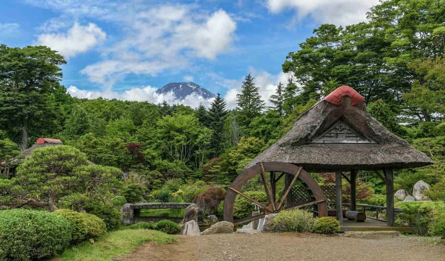 Tokyo: Private Mount Fuji Tour with Pickup and Drop-Off - Oshino Hakkai Springs and Thatched-Roof Village Time
