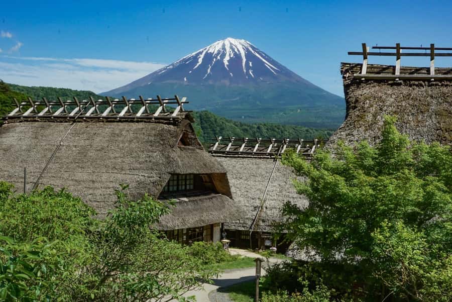Tokyo: Private Mount Fuji Tour with Pickup and Drop-Off - Guide Styles That Matter, Especially When Weather Changes