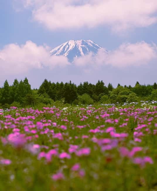 Tokyo: Private Mt. Fuji Luxury Day Tour – Fully Customizable - Key points to know before you go