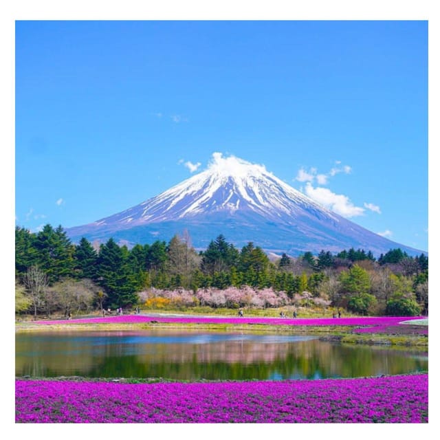 Tokyo: Private Mt. Fuji Luxury Day Tour – Fully Customizable - Weather reality: when Mt. Fuji plays hide-and-seek