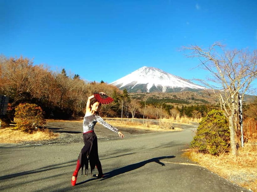 Tokyo: Private Mt. Fuji Luxury Day Tour – Fully Customizable - How private pickup turns a Fuji day into your schedule