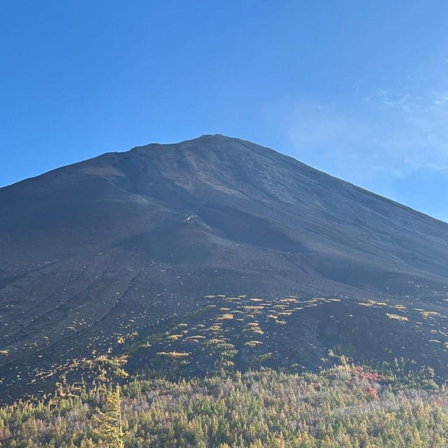 Tokyo: Private Mt. Fuji Luxury Day Tour – Fully Customizable - Comfort that shows up in real life: vehicle, Wi-Fi, and photo help