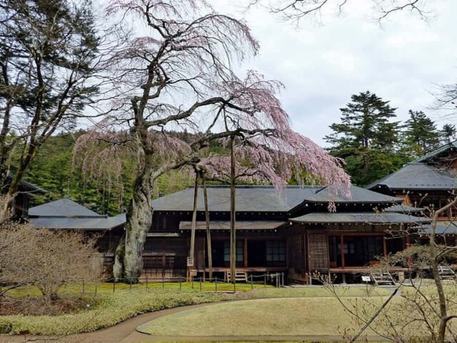 Tokyo: Private Nikko Sightseeing Tour In Luxury Land Cruiser - Lake Chūzenji and Nikkō National Park: photo time plus a short education moment