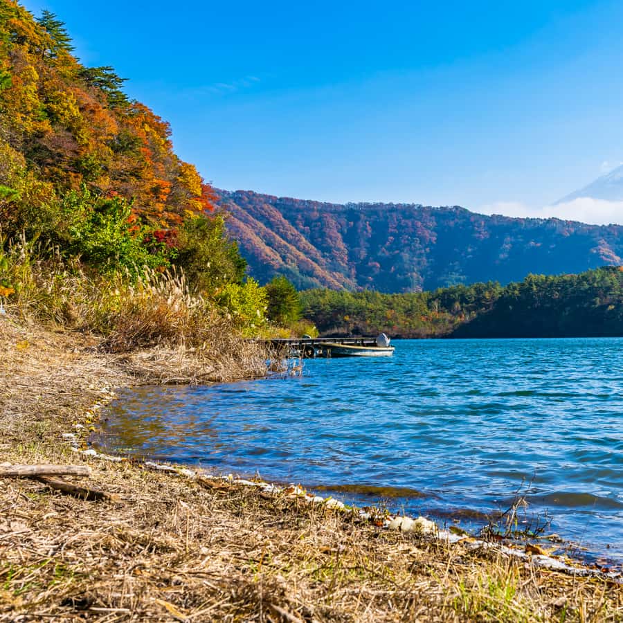 Tokyo: Private Nikko World Heritage Instagramable Day Tour - National Park Add-On and the Nikko Historic Museum Option