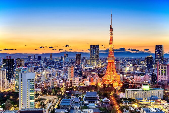 Tokyo Private Sightseeing Tour by Car- English speaking chauffeur - Why a 9-hour private car tour helps in Tokyo