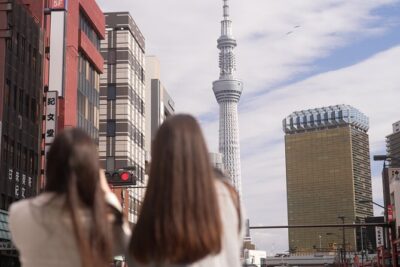 Tokyo Private Sightseeing Tour by Car- English speaking chauffeur