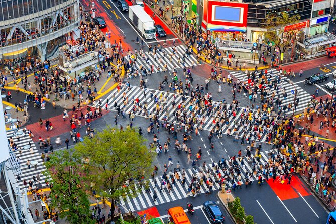 Tokyo Private Sightseeing Tour by Car- English speaking chauffeur - Ginza, Takeshita Street, and Omotesando: three styles of shopping in one day