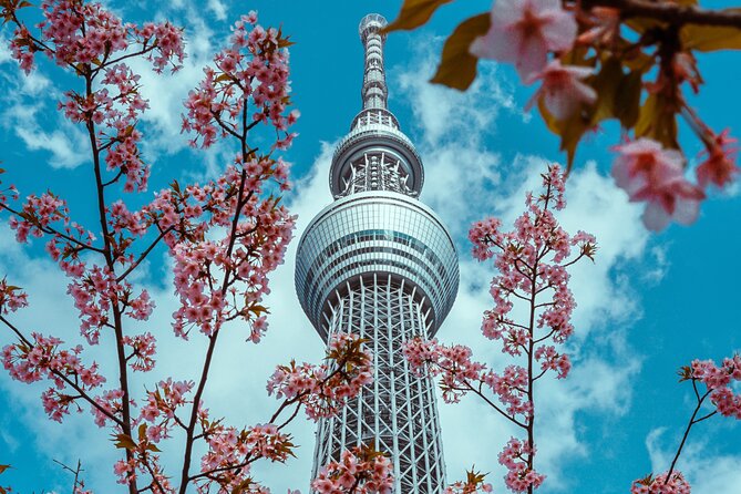 Tokyo Private Sightseeing Tour by Car- English speaking chauffeur - Odaiba: your Tokyo Bay break with parks, shopping, and coastline
