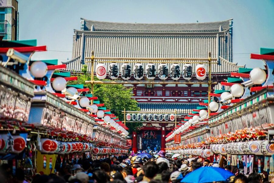 Tokyo: Private Sightseeing Tour English Speaking Driver - Akihabara: electronics and anime, plus themed café fun