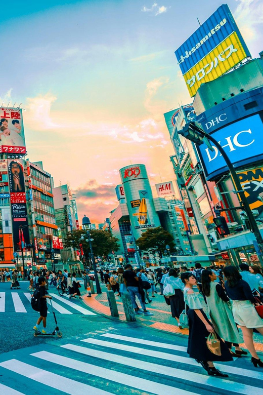 Tokyo: Private Tailored Tour with a Local Guide - Meiji Jingu: a calm reset before the city noise