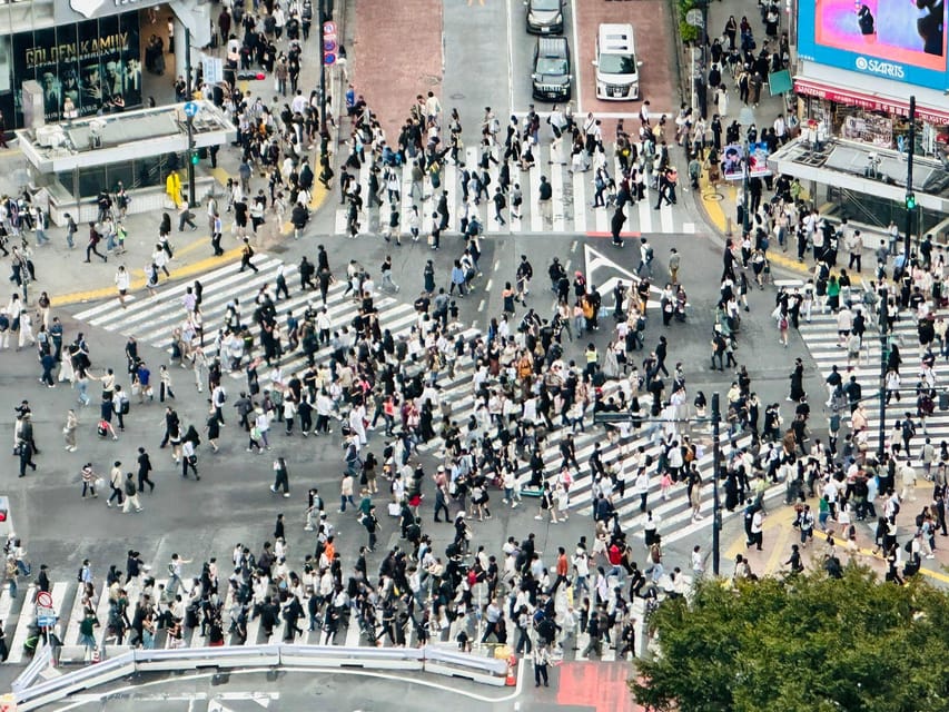 Tokyo: Private Tailored Tour with a Local Guide - Shibuya Crossing and Hachiko: the famous moment, handled well
