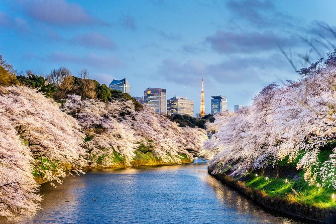 Tokyo Private Tour by Vehicle with English-Speaking Chauffeur - What you actually get with a private Tokyo chauffeur
