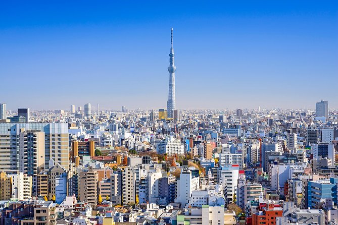 Tokyo Private Tour by Vehicle with English-Speaking Chauffeur - Tokyo Skytree 634m: big skyline views without transit stress