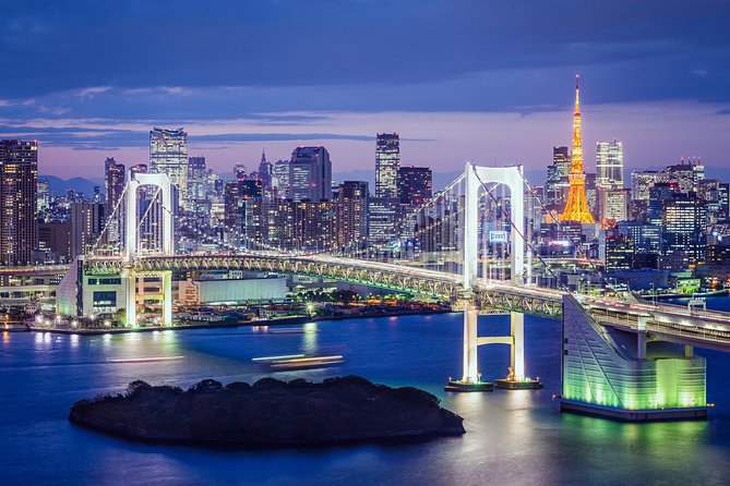Tokyo Private Tour by Vehicle with English-Speaking Chauffeur - Tsukiji Outer Market for fish snacks and an easy lunch pivot