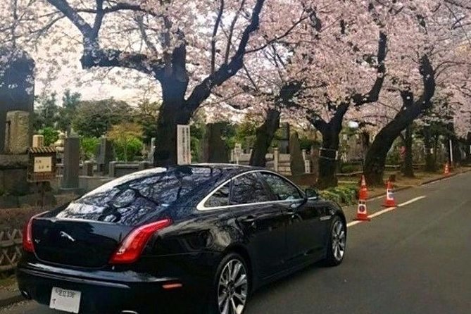 Tokyo Private Tour by Vehicle with English-Speaking Chauffeur - Senso-ji Temple and Asakusa street energy to start strong