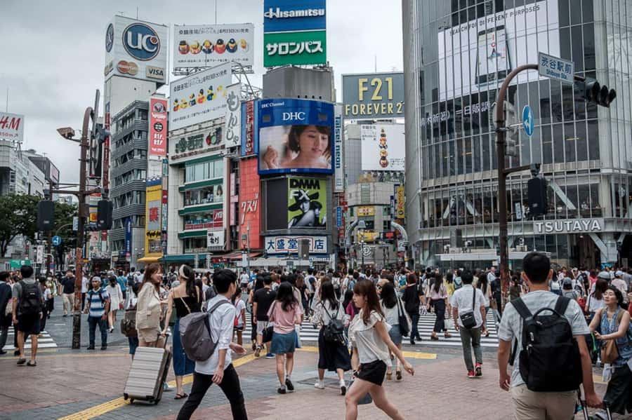 Tokyo Private Tour with English Pro Guide By Luxary Vehivle - Tokyo Bay Ferry breeze, except Tuesdays