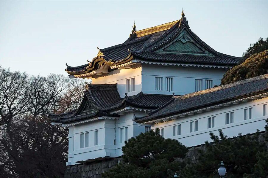 Tokyo Private Tour with English Pro Guide By Luxary Vehivle - Skytree Tembo Deck: big views, skip-the-line time saved