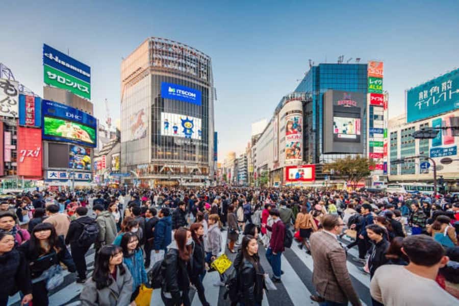 Tokyo Private Tour with English Pro Guide By Luxary Vehivle - Tsukiji Fish Market, lunch, and matcha during the busy hours