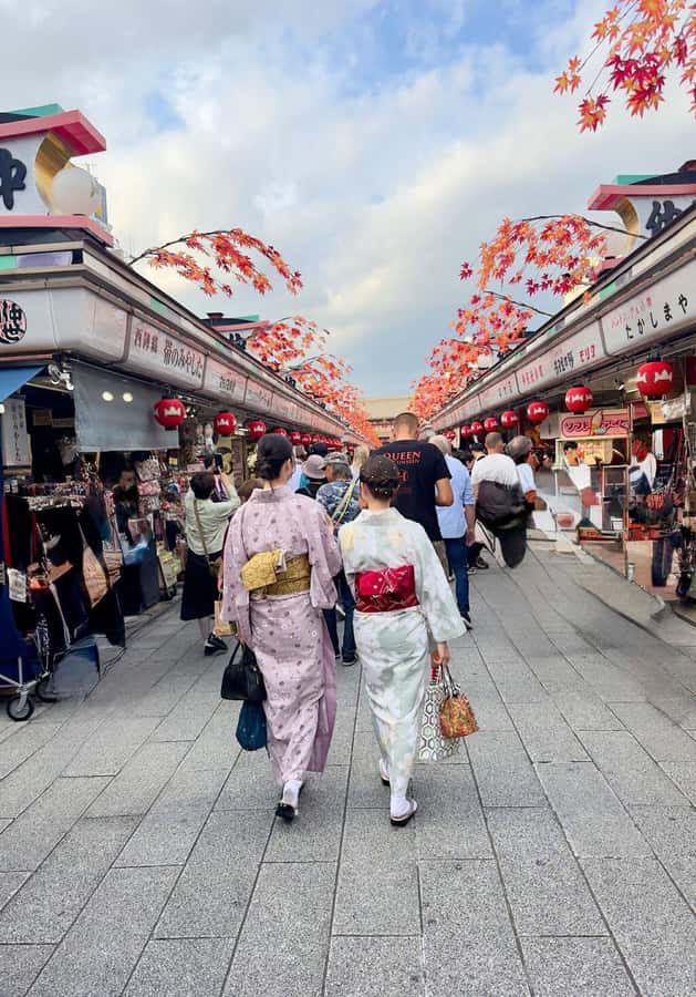 Tokyo Private Tour with English Pro Guide By Luxary Vehivle - Shibuya Crossing and the shops you cannot ignore