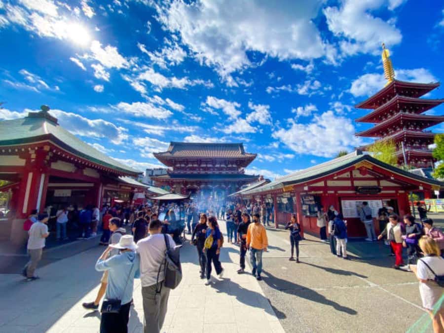 Tokyo Private Tour with English Pro Guide By Luxary Vehivle - Getting the day right: 10 hours plus pickup and traffic reality