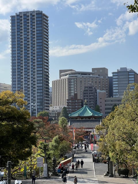 TOKYO Private visit guide Speaking French - Key highlights that matter (and why)