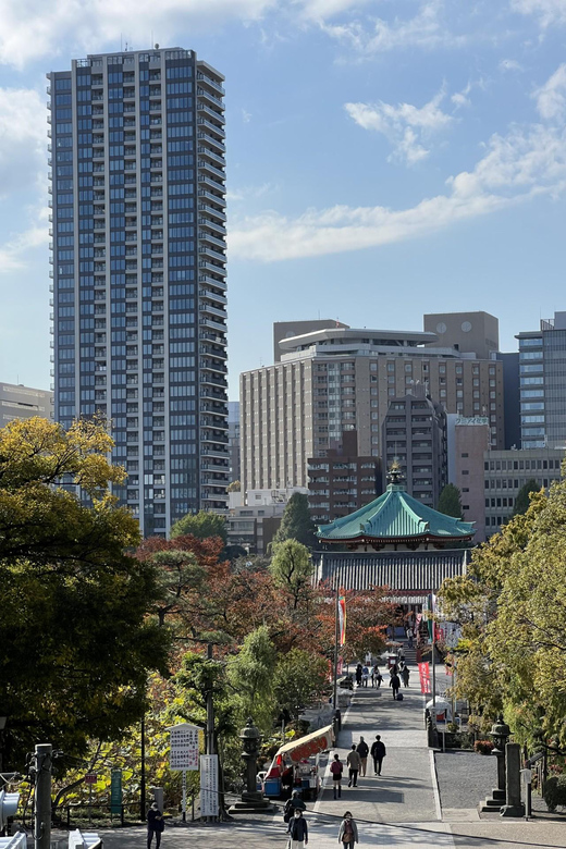 TOKYO Private visit guide Speaking French - Shopping Time That Actually Responds to Your Group