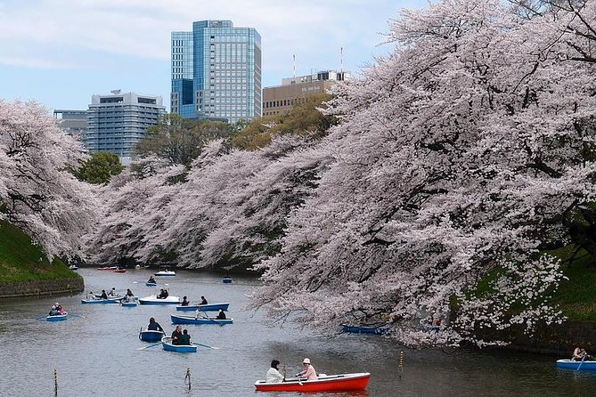 Tokyo: Private Walking Tour with a Local - Pickup and timing: why the 3 to 8 hour window matters