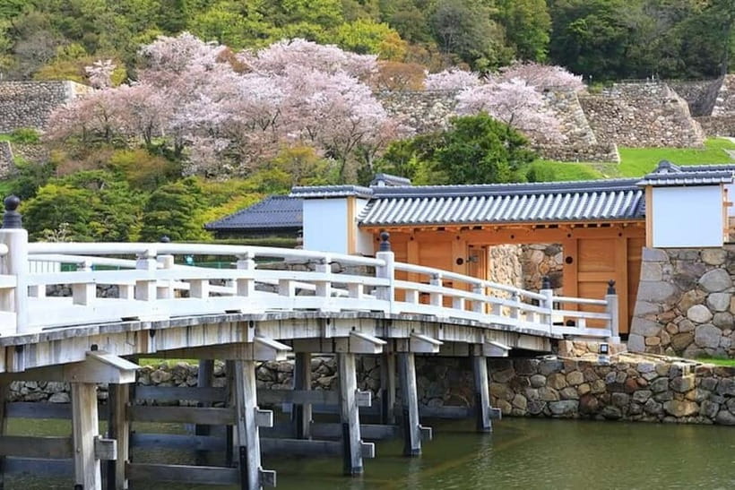 Tokyo: Pvt. Tour - Edo Castle & Imperial Palace East Gardens - Ninomaru Garden timing, seasonal flowers, and how to enjoy it anyway